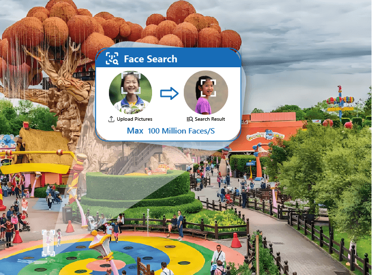 Amusement Park Surveillance System